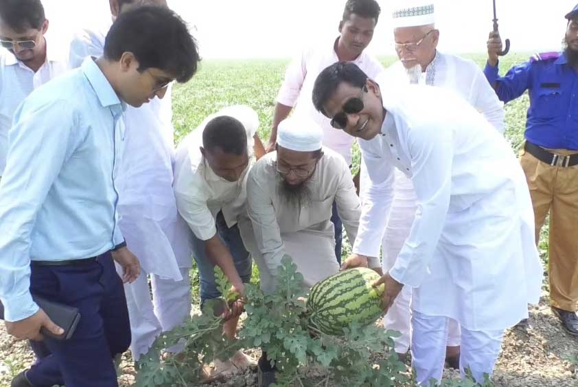 ভোলায় তরমুজ চাষিদের পাশে জেলা প্রশাসক 