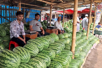 বগুড়ায় ৩০ টাকা কেজি তরমুজ, তবুও কিনছেন না কেউ!