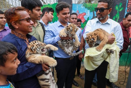 বাইডেন-জয়ার ঘরে আসল প্রকৃতি, স্রোতস্বিনী ও রূপসী 