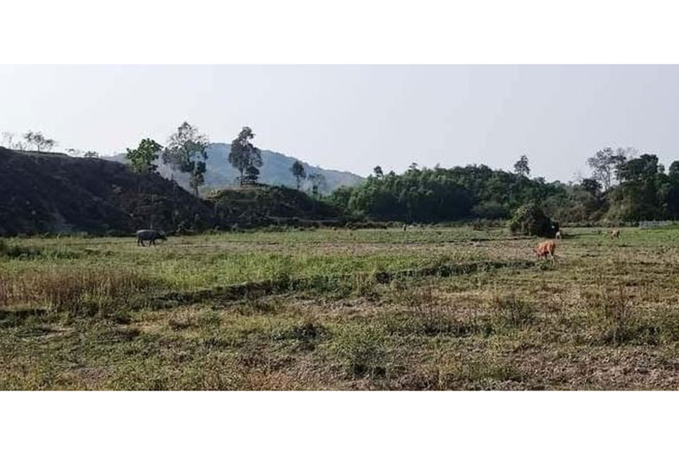 টেকনাফে গরু চড়াতে গিয়ে দুই রাখাল নিখোঁজ 