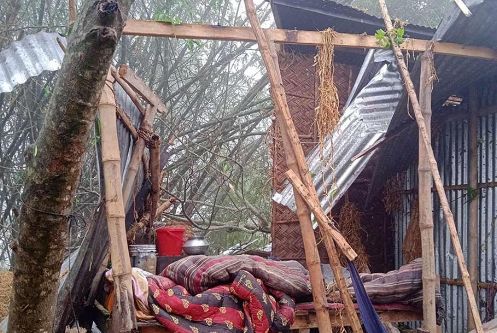 ঘূর্ণিঝড়ে আলফাডাঙ্গার ২২ গ্রাম বিধ্বস্ত