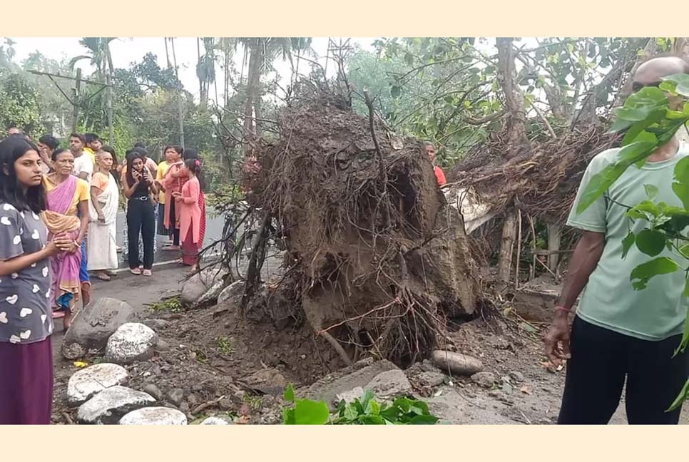 ঝড়ের তাণ্ডবে লণ্ডভণ্ড জলপাইগুড়ি; নিহত ৪, আহত অর্ধশতাধিক

