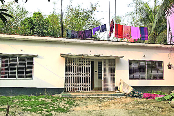 কালো বিড়ালের থাবা বনে