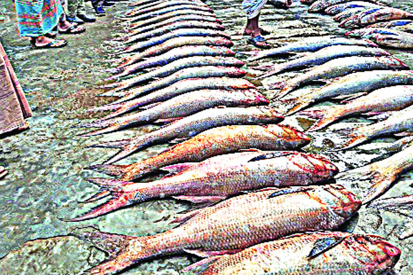 ফের ধরা পড়ল ২৫ লাখ টাকার লাক্ষা
