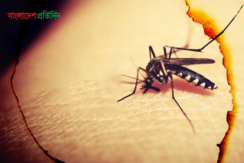 ডেঙ্গু প্রতিরোধে দরকার সচেতনতা