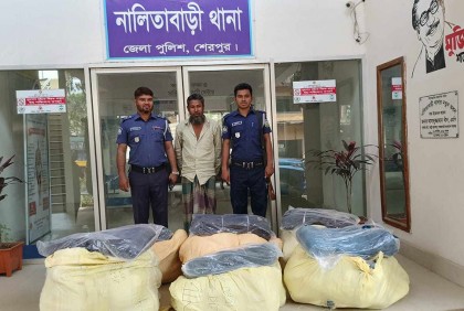 নালিতাবাড়ীতে ৬ বস্তা কাপড়সহ গ্রেফতার ১