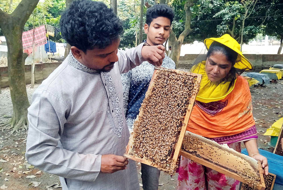 দিনাজপুরে লিচুর মুকুল থেকে 
১০০ কোটি টাকার মধু উৎপাদনের সম্ভাবনা