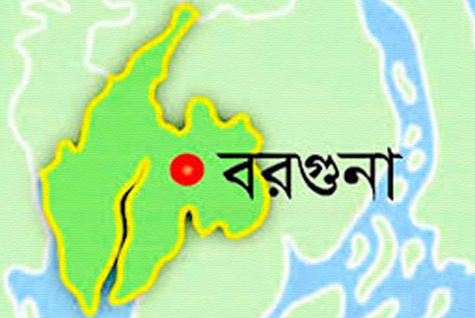 ক্ষেতে বিষ প্রয়োগ, মারা গেল অর্ধ-শতাধিক কবুতর