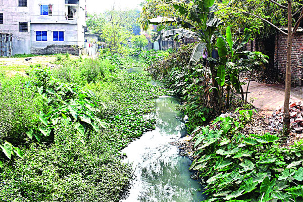 মশা-ধুলায় অস্বস্তিতে নগরবাসী