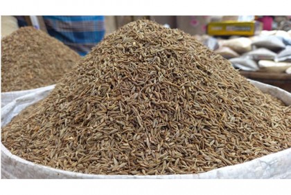 জিরার দাম কেজিতে কমল ৫৫০ টাকা