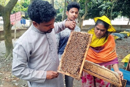 দিনাজপুরে লিচুর মুকুল থেকে 
১০০ কোটি টাকার মধু উৎপাদনের সম্ভাবনা