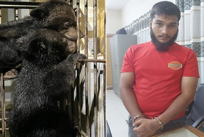 বান্দরবানে পাচারকালে দু’টি ভাল্লুক ছানাসহ আটক ১