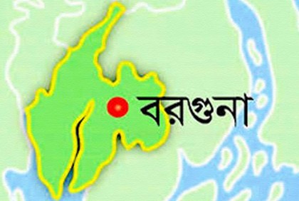 ক্ষেতে বিষ প্রয়োগ, মারা গেল অর্ধ-শতাধিক কবুতর
