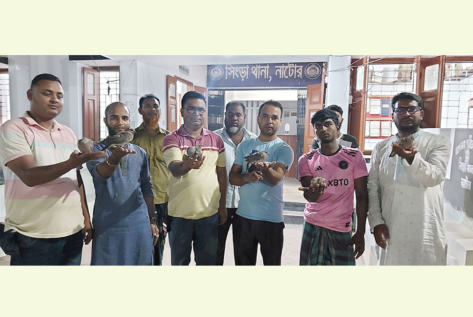 মুচলেকায় ছাড়া পেল শিকারি, সাত ঘুঘু উড়লো আকাশে