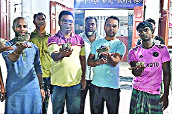 মুচলেকায় ছাড়া পেল শিকারি, বাঁচল সাত ঘুঘুর প্রাণ