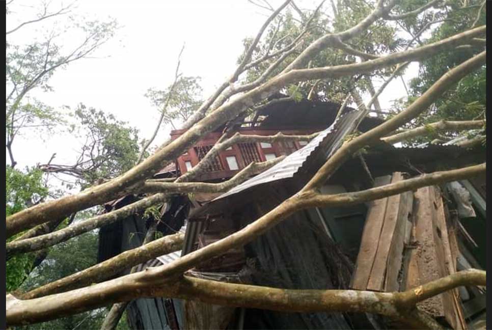 ঘূর্ণিঝড়ে দুমকিতে ব্যাপক ক্ষয়ক্ষতি