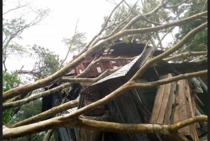 ঘূর্ণিঝড়ে দুমকিতে ব্যাপক ক্ষয়ক্ষতি