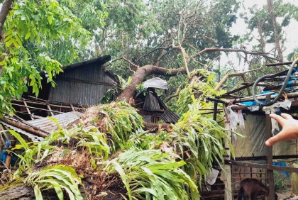 ঝালকাঠিতে বজ্রপাতে এক শিশুসহ ২ নারী নিহত