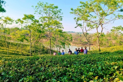 পর্যটক বরণে প্রস্তুত চায়ের দেশ