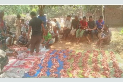নবাবগঞ্জে ব্যতিক্রমী উদ্যোগ 'গোশত সমিতি'