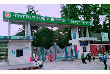 চিড়িয়াখানায় হাতির আক্রমণে প্রাণ গেল মাহুতের ছেলের 

