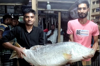বঙ্গোপসাগরে জেলের জালে ধরা পড়েছে ২৬ কেজি ওজনের কোরাল