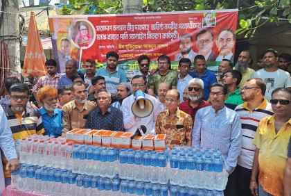 উপজেলা নির্বাচন এখন উপজ্বালায় পরিণত হয়েছে : সালাম