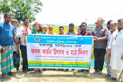 গোপালগঞ্জে ফসল কর্তন উৎসব ও মাঠ দিবস