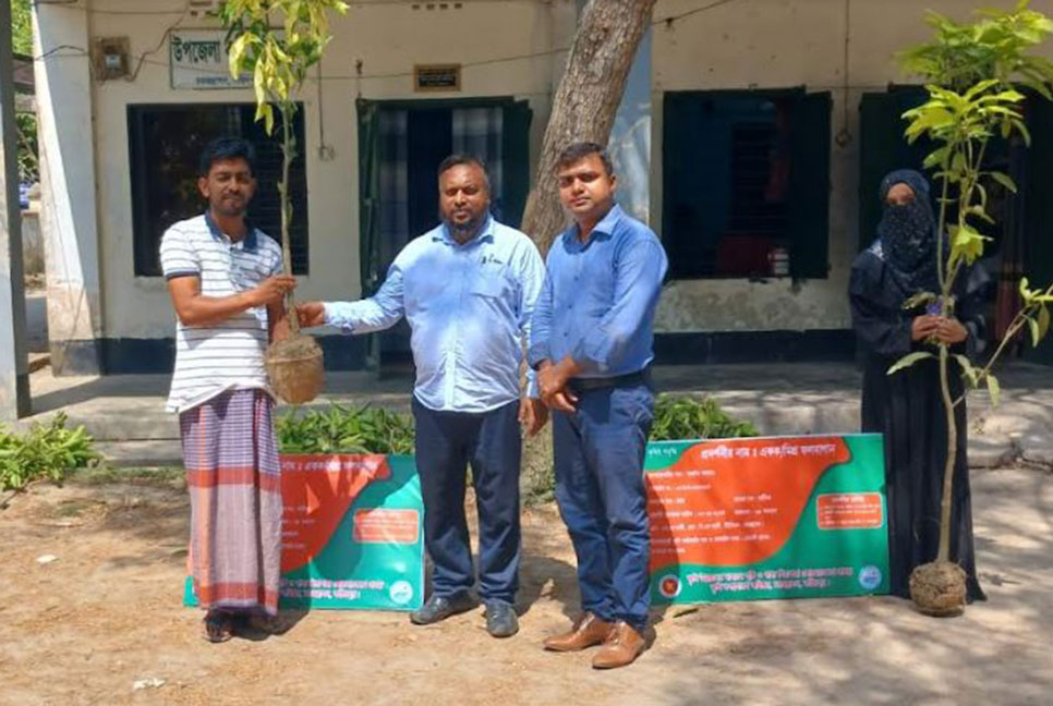 চরভদ্রাসনে আমের চারা বিতরণ