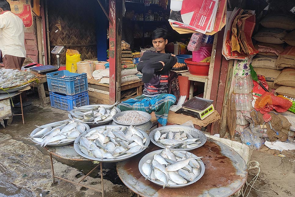 চাঁদপুরে ইলিশের পাশাপাশি বিভিন্ন প্রজাতির মাছের আমদানি বেড়েছে