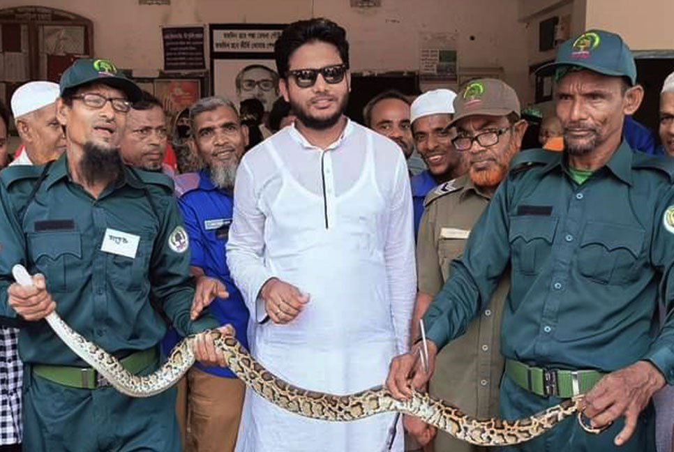 সুন্দরবনের অজগর লোকালয়ে
