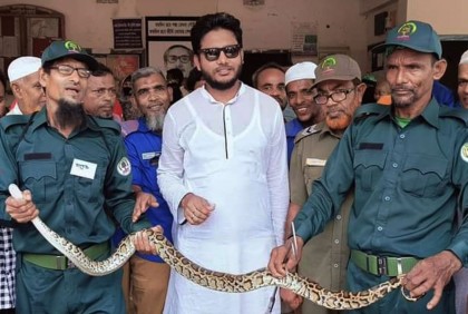 সুন্দরবনের অজগর লোকালয়ে