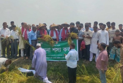 'খামারি অ্যাপস ব্যবহারে কমবে খরচ, বাড়বে ফসলের উৎপাদন'