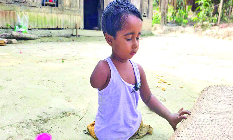 তবুও চলছে বাঁচার লড়াই