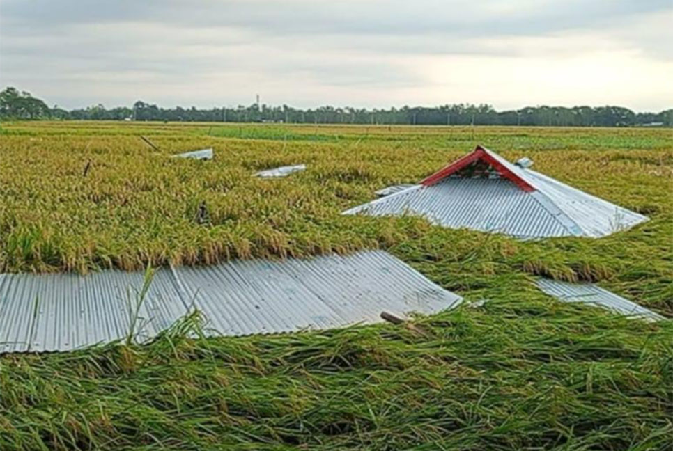 নাসিরনগরে কালবৈশাখী ঝড়ে ক্ষয়ক্ষতি
