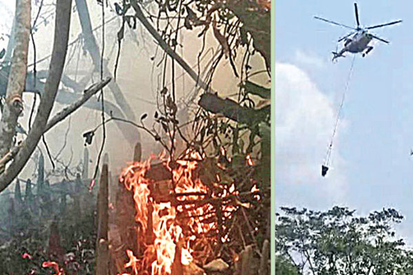 সুন্দরবনে ভয়াবহ আগুন