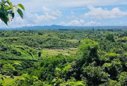 নাফ নদীর ওপারে মর্টার শেলের বিকট শব্দ