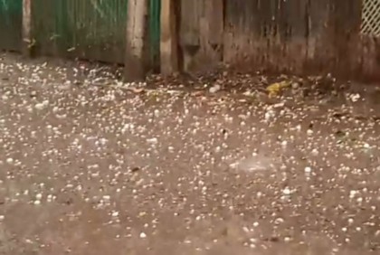 নেত্রকোনায় ঝড়-শিলাবৃষ্টি