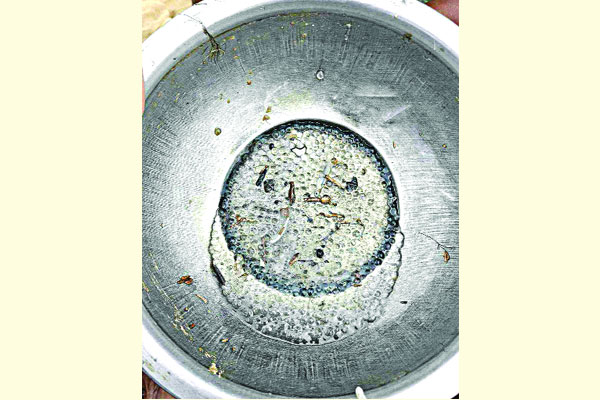হালদায় নমুনা ডিম ছেড়েছে মা মাছ
