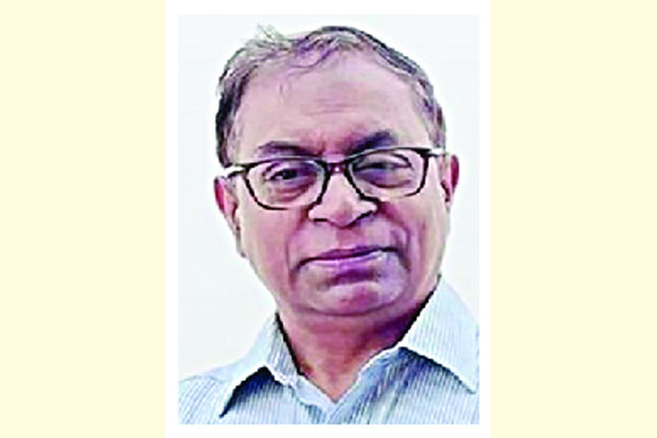 উপজেলায়ও দুর্বৃত্তদের রাজত্ব কায়েম হচ্ছে : সাইফুল হক