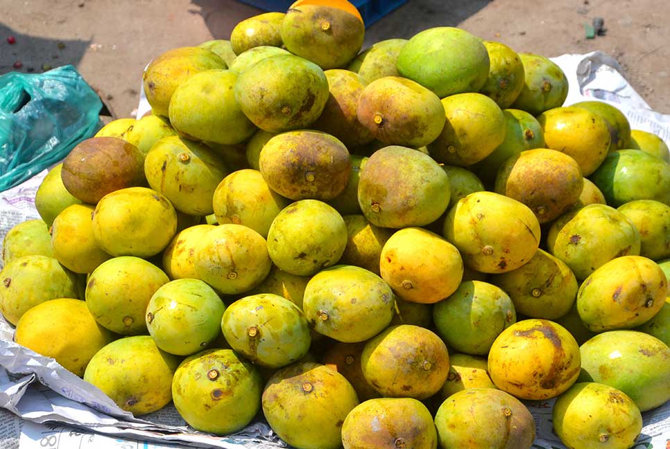 আম উঠেছে বগুড়ার বাজারে, দামও বেশি