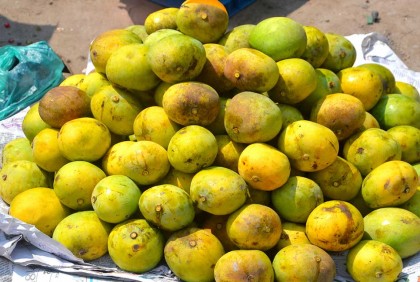 আম উঠেছে বগুড়ার বাজারে, দামও বেশি