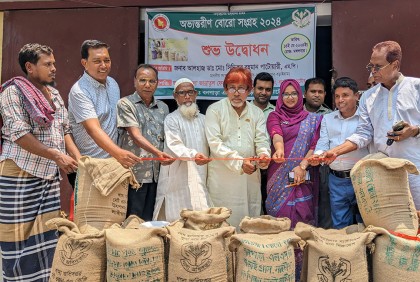 বড়াইগ্রামে বোরো ধান-চাল ও গম সংগ্রহ অভিযানের উদ্বোধন