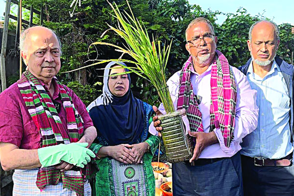 ধান চাষ ব্রিটেনে
