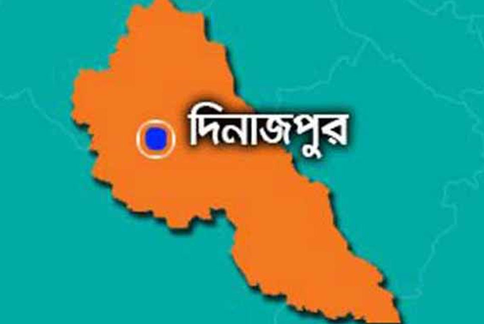 বিরলে অগ্নিকাণ্ডে বৃদ্ধ আহত, তিনটি গবাদিপশুর মৃত্যু
