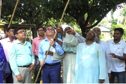 বাজারো এলো চুয়াডাঙ্গার আম