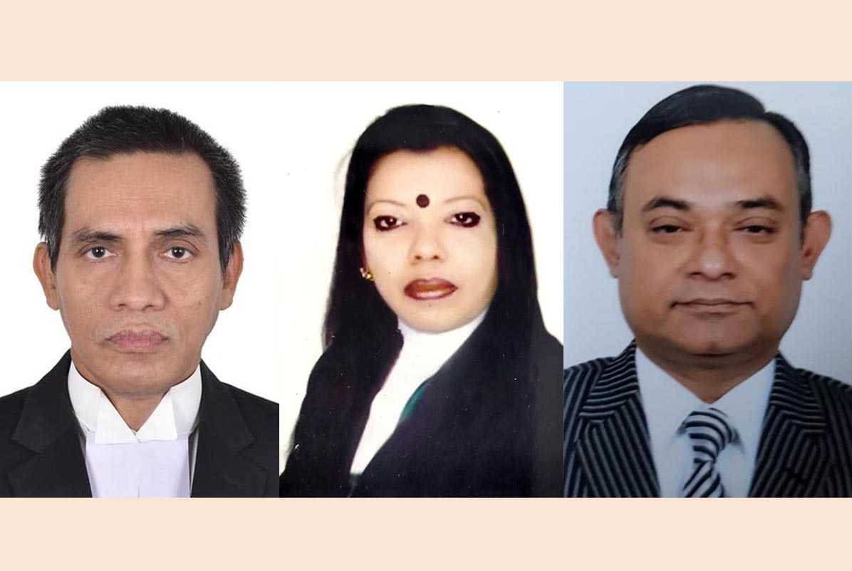 সাউথ এশিয়ান ল’ ইয়ার্স ফোরামের ইন্টারন্যাশনাল চ্যাপ্টারের পূর্ণাঙ্গ কমিটি ঘোষণা