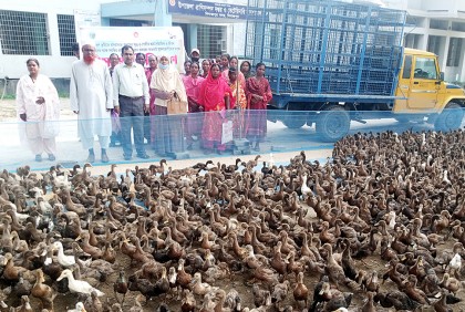 দিনাজপুরে ক্ষুদ্র নৃগোষ্ঠীর মাঝে হাঁস বিতরণ