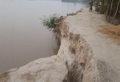 অসময়ে তিস্তার ভাঙন, রাস্তা-বসতভিটা নদীগর্ভে