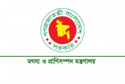 সোমবার থেকে ৬৫ দিন সমুদ্রে মাছ ধরায় নিষেধাজ্ঞা